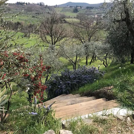 La Casa Di Demetra. Un Paradiso Tra Gli Olivi. *