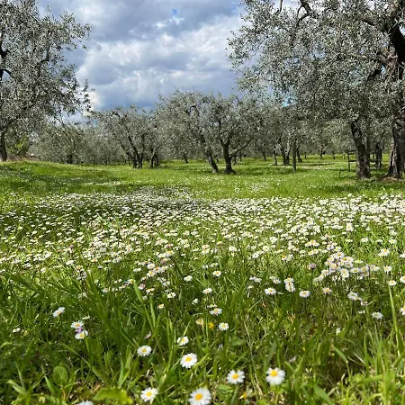 La Casa Di Demetra. Un Paradiso Tra Gli Olivi. * Montecchio (Terni)