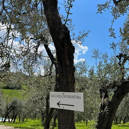 La Casa Di Demetra. Un Paradiso Tra Gli Olivi. Διαμέρισμα *